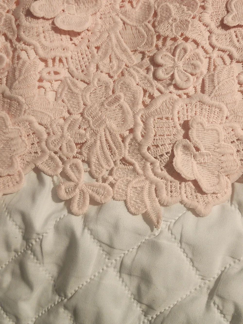 Altar'd State Blush Pink Lace Appliqué Mini Dress - Picture 2 of 7